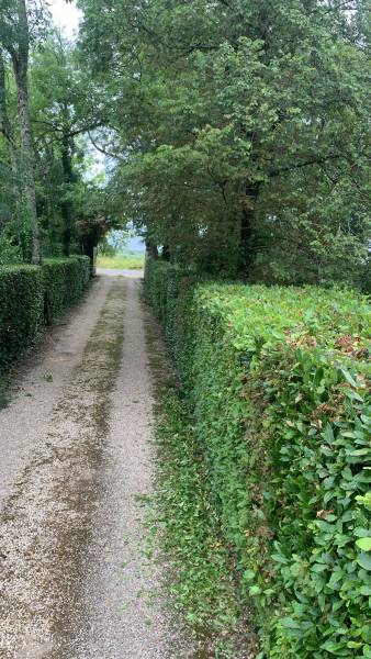 Entretien de jardin haut de gamme dans le Médoc et ses environs