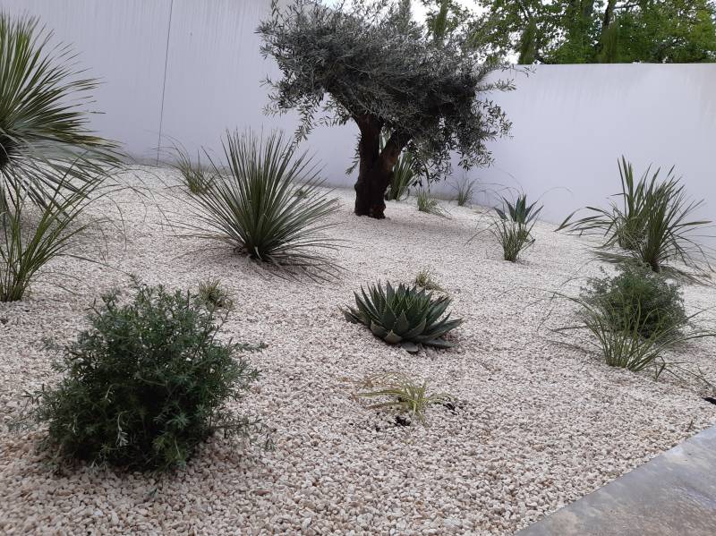 Aménagement de jardin méditerranéen sur Bordeaux Caudéran et ses alentours