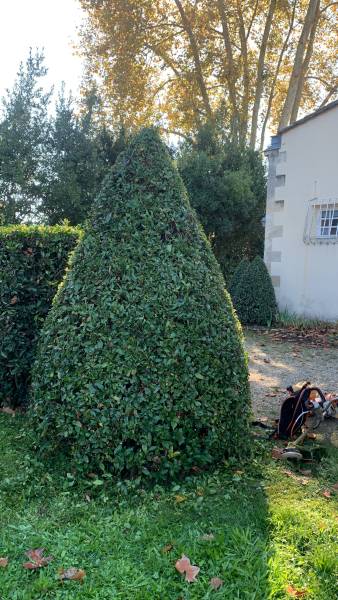 Entretien de jardin haut de gamme dans le Médoc et ses environs