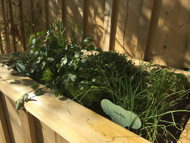 Carré potager en bois