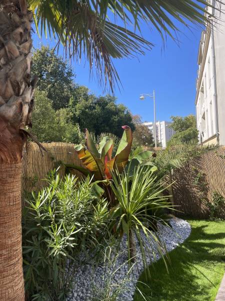 Création de massifs sur Bordeaux