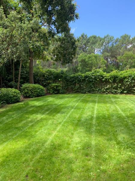Entretien de jardin pendant l'été sur le Cap-Ferret et Arcachon