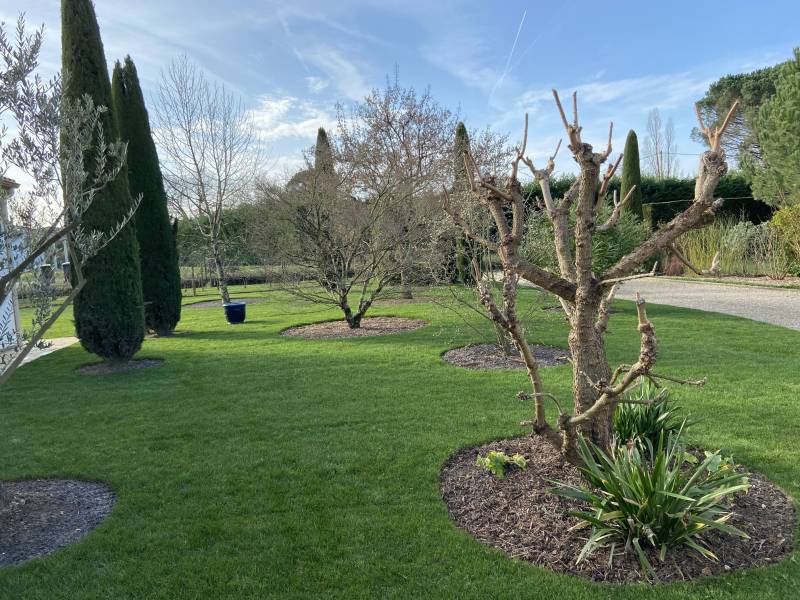 Entretien saisonnier des arbres et arbustes à Bordeaux