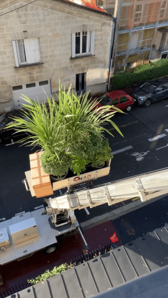 Aménagement végétal en zones complexes à Bordeaux et en périphérie