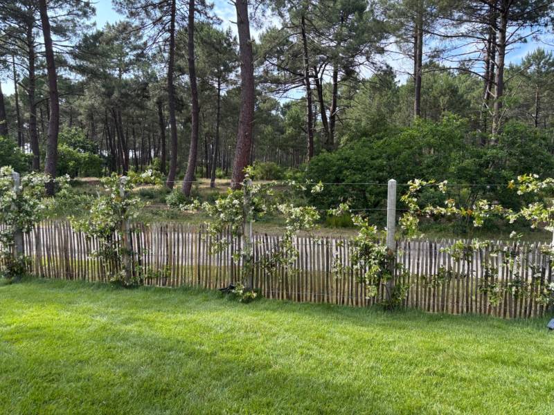 Pose de clôtures bois naturelles sur le bassin d’Arcachon et ses environs