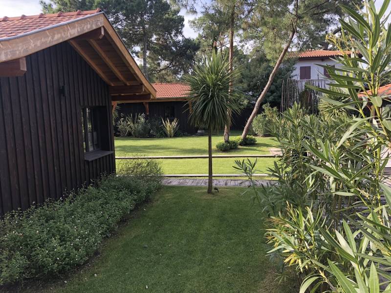 Massif avec plantes locales Cap-Ferret