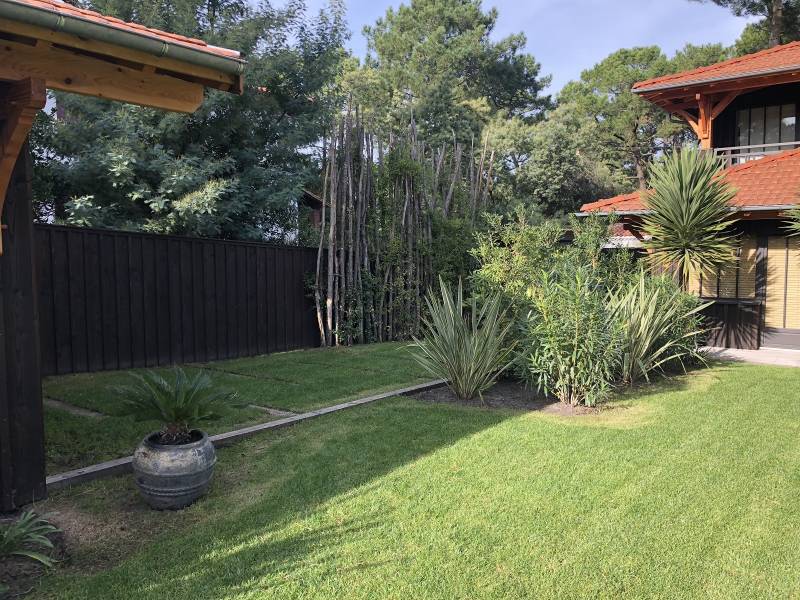 Plantations d'arbres sur le bassin d'Arcachon